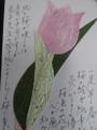 アイデア絵手紙-2