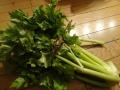 新潟の野菜2
