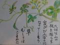 井田病院緩和ケア病棟・絵手紙-6