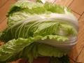 新潟の野菜新潟の3