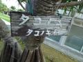 沖縄-23